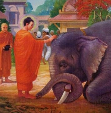 Ăn chay trường mà mua thịt cá nấu cho gia đình ăn có tội không?