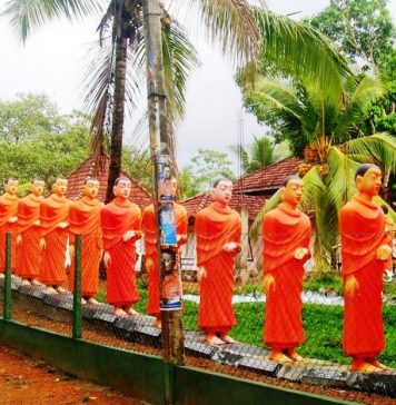 Đạo Phật đào tạo để sử dụng