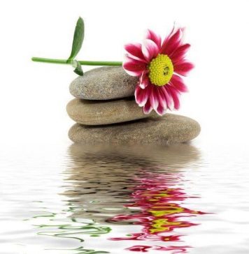 Làm sao để vui với chuyện thị phi?