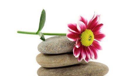 Làm sao để vui với chuyện thị phi?