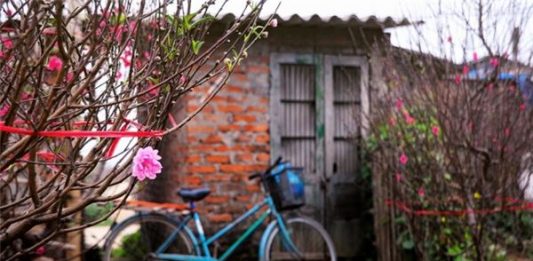 Xuân từ bàn tay mẹ