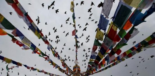 Không khí mừng Đại lễ Vesak ở khắp nơi trên thế giới