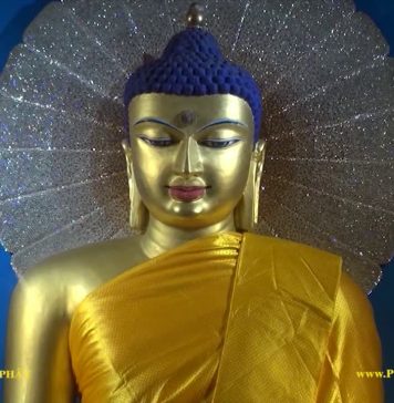 Video ký sự: Về Đất Phật