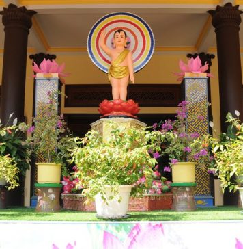 Tam Kỳ: Chùm ảnh không khí Phật đản tại các chùa trên địa bàn thành phố