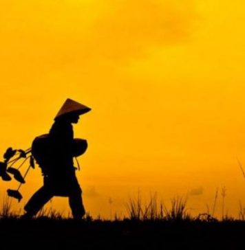 Tác phẩm dự thi lọt vào vòng chung khảo: Truyện ký XUÂN NẦY CON KHÔNG VỀ