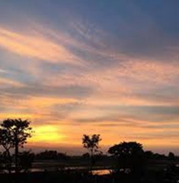 Tác phẩm dự thi lọt vào vòng chung khảo: YÊU SAO PHẢI CƯỚI