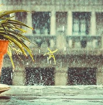 Tác phẩm dự thi lọt vào vòng chung khảo: XA VÀ GẦN, NHỚ VÀ THƯƠNG – NỖI NIỀM HỌC XA GIA ĐÌNH