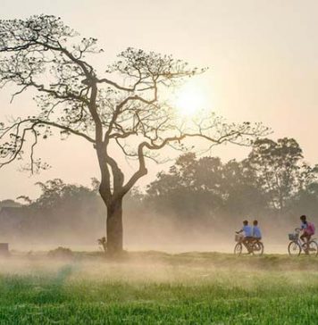 Ngày đầu tiên đi học của tôi