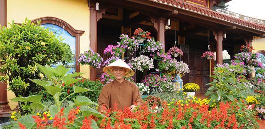 Tam Kỳ: Các chùa trong thành phố đón Tết Cổ Truyền Xuân Nhâm Dần – 2022