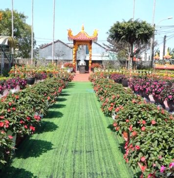 Video QCB: Tam Kỳ – Không khí đón xuân Ất Tỵ tại các chùa.